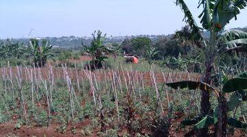 Gambar 3 di Jual Tanah Kebun Masih Murah View Gunung di Tapos Kecamatan Ciawi 