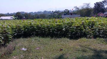 Gambar 2 di Jual Tanah Kebun Subur di Tapos Cibedug Kecamatan Ciawi