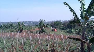 Gambar 5 di Jual Tanah Kebun Masih Murah View Gunung di Tapos Kecamatan Ciawi 