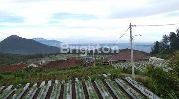 Gambar 1 TANAH MURAH LOKASI DI PINGGIR JALAN DENGAN VIEW PEGUNUNGAN