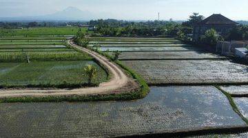 Gambar 1 TOP URGENT DI JUAL TANAH LOKASI KELATING KERAMBITAN TABANAN