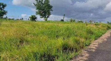 Gambar 5 PASTI CLOSING DI JUAL TANAH VIEW SAWAH LOKASI SESEH CEMAGI MENGWI BADUNG
