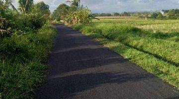 Gambar 4 PASTI CLOSING DI JUAL TANAH VIEW SAWAH LOKASI SESEH CEMAGI MENGWI BADUNG
