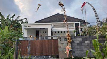 Gambar 1 Rumah Baru 1 Lantai Asri Di Tengah Sawah Nuansa Pedesaan