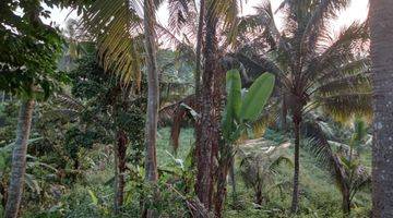 Gambar 3 Tanah View Sawah Dekat Furama Ubud, Green School Dan Pelangi School