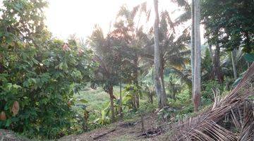 Gambar 4 Tanah View Sawah Dekat Furama Ubud, Green School Dan Pelangi School