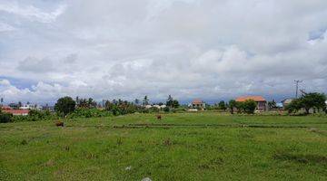 Gambar 2 Leasehold Land With Ricefield View Pantai Lima Pererenan, Only 5 Minutes To The Beach