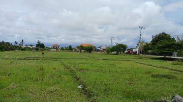 Gambar 1 Leasehold Land With Ricefield View Pantai Lima Pererenan, Only 5 Minutes To The Beach