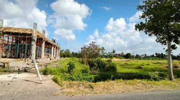 Gambar 3 Leasehold Land With Ricefield View Pantai Lima Pererenan, Only 5 Minutes To The Beach