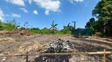 Gambar 4 Land For Lease In Pererenan