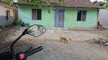 Gambar 5 JARANG ADA,  TANAH BONUS BANGUNAN TUA DI JALAN KABUPATEN, JALAN GODEAN KM 4,5 BANYURADEN GAMPING JOGJA