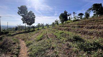 Gambar 4 Tanah  Seluas 2ha Lokasi Garut Cocok Buat Pertanian