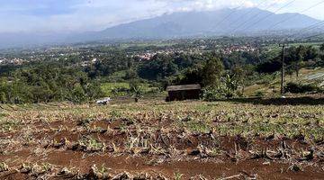 Gambar 5 Tanah  Seluas 2ha Lokasi Garut Cocok Buat Pertanian