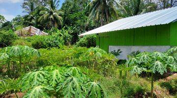 Gambar 1 Lahan Pertanian di Cilegon With 5 Unit Green House