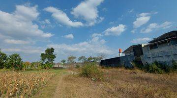 Gambar 4 Tanah Jogja Premium Dekat Jalan Damai View Sawah Gunung SHM