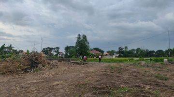 Gambar 3 Tanah di Jl Raya Selomartani, Sleman SHM 100 m²