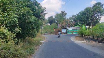 Gambar 1 Tanah di Lpmp Tirtomartani, Sleman SHM 119 m²