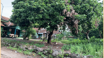 Gambar 5 Dijual Tanah Siap Bangun Dekat Sleman City Hall 2 Jutaan