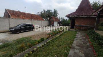 Gambar 4 Bawah Njop   Home Stay  Cantik  Di Bandungan