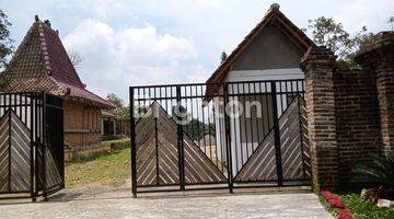 Gambar 3 Bawah Njop   Home Stay  Cantik  Di Bandungan