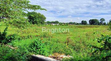 Gambar 4 TANAH SAWAH DI DAERAH BERKEMBANG, GADINGAN MOJOLABAN BERPOTENSI BISA UNTUK PERUMAHAN