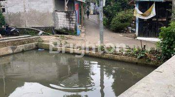 Gambar 5 RUMAH MURAH & LUAS PLUS KOLAM IKAN  DI CIOMAS BOGOR