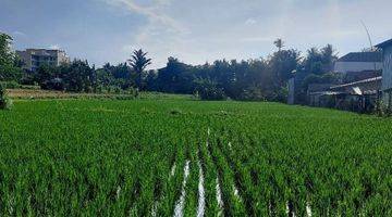 Gambar 5 LAHAN BAGUS 60MT DARI JALAN UTAMA DI BLAHBATUH, GIANYAR - BALI