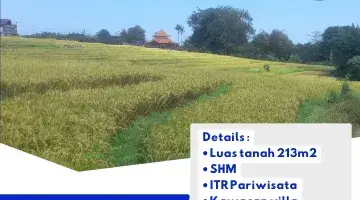 tampak depan tanah murah dengan view sawah