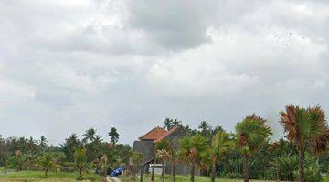 tampak depan lahan murah dekat tanah lot