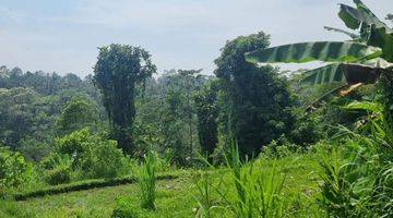 Gambar 2 Lahan Dengan View Jungle, Lembah, Sungai & Sawah Di Ubud, Bali