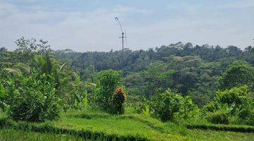 Gambar 1 Lahan Dengan View Jungle, Lembah, Sungai & Sawah Di Ubud, Bali