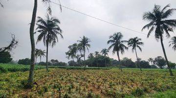 Gambar 1 Tanahmurah di Rumah kebon parung hijau kemang bogor 