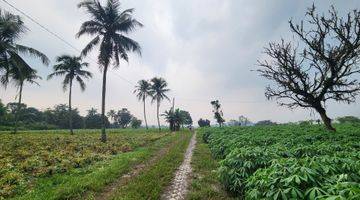 Gambar 2 Tanahmurah di Rumah kebon parung hijau kemang bogor 