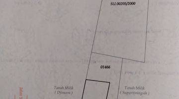 Gambar 3 Dijual tanah 0 km jalan di JL. Raya Madiun Surabaya, Saradan 1008 m2 SHM