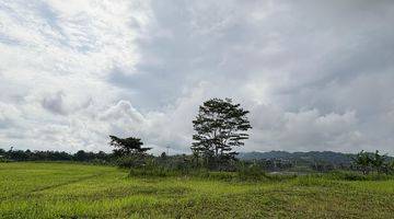 Gambar 3 Kavling Exclusive Ada View  Di Kota Baru Parahyangan 