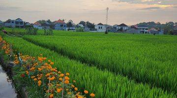 Gambar 3 Ricefield View Villa In Tumbak Bayuh Canggu