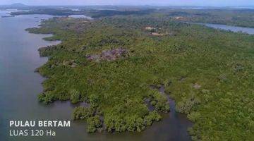 Gambar 5 Tanah 120 ha di Pulau Bertam,Batam