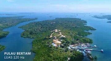 Gambar 4 Tanah 120 ha di Pulau Bertam,Batam