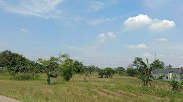 Gambar 5 Tanah SHM di Citayam, Tajur Halang, Bogor