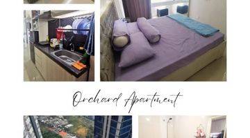 Gambar 5 Apartemen Orchard Mansion Bagus Furnished View Kota