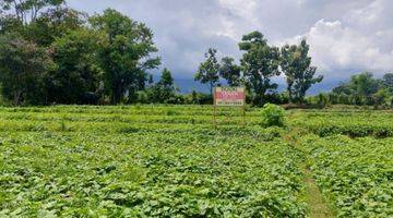 Gambar 4 Tanah SHM di Pacet, Mojokerto