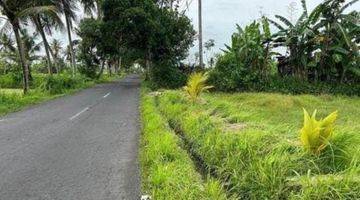 Gambar 3 Tanah Strategis di Gianyar Bali Dekat Ke Pantai Saba