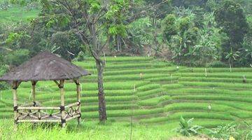 Gambar 5 Tanah kavling legalitas SHM di kawasan wisata puncak dua Bogor 