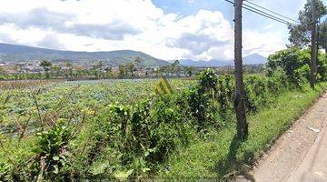 Gambar 2 MURAH! TANAH KEBUN VIEW ALAM LEMBANG BANDUNG UTARA