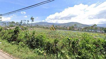 Gambar 3 MURAH! TANAH KEBUN VIEW ALAM LEMBANG BANDUNG UTARA