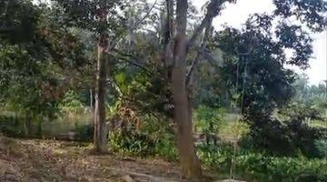 Gambar 1 Tanah kebun buah bibit unggul pinggir jalan raya L2  teluk dalam tenggarong