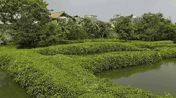 Gambar 4 Rumah Dan Tanah Luas 7400m Langka Sayap Kiaracondong Bandung