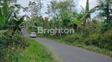 Gambar 2 LAHAN AKSES JALAN ENAM METERAN DEKAT AIR TERJUN DENGAN VIEW TEBING HIJAU DAN PEGUNUNGAN