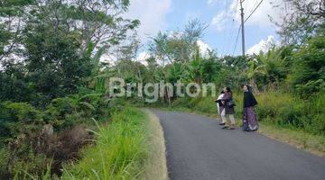 Gambar 2 LAHAN DI WANAGIRI 46 ARE DENGAN VIEW TEBING HIJAU DAN PEGUNUNGAN ALES