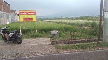 Gambar 1 Tanah SHM 8.000 m²